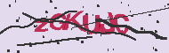 Captcha認証コード